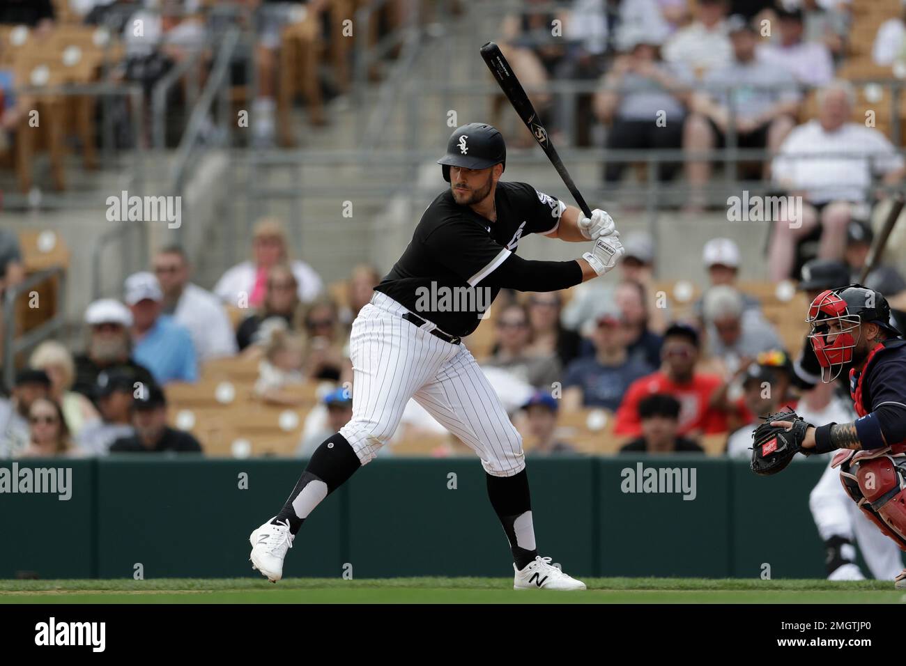 Chicago White Sox's Daniel Palka during the fifth inning of a spring  training baseball game against the Cleveland Indians Friday, Feb. 28, 2020,  in Glendale, Ariz. (AP Photo/Gregory Bull Stock Photo - Alamy