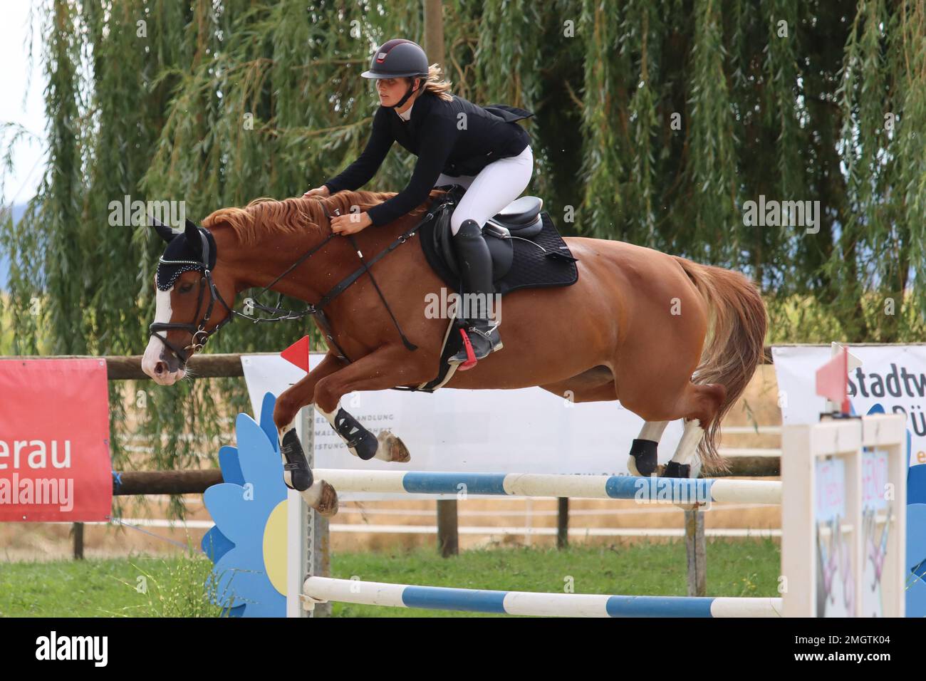 official show jumping tournaments in germany Stock Photo Alamy