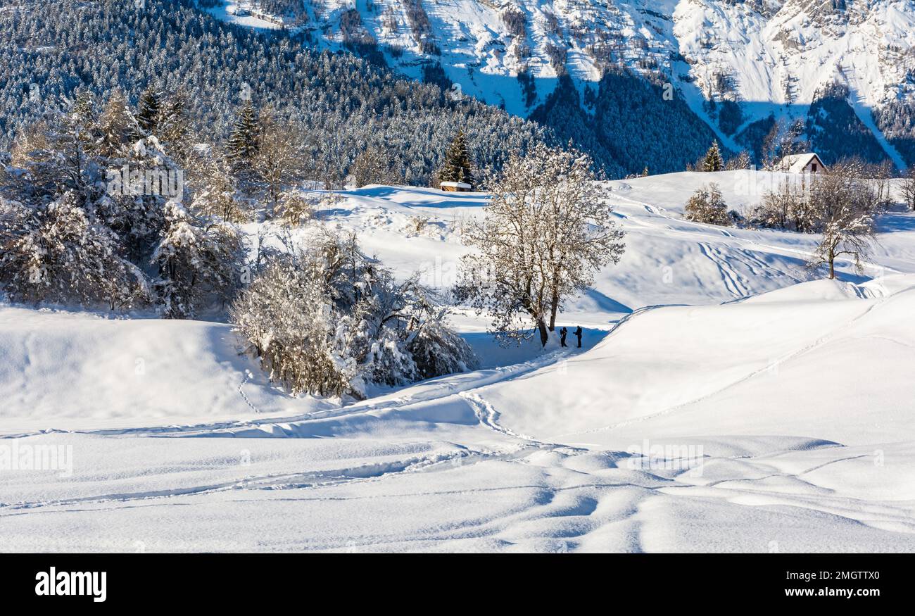 Beautiful winter mountain snow-covered landscape on sunny day. Andalo village, Adamello Brenta Natural Park, Trentino Alto Adige, northern Italy, Euro Stock Photo