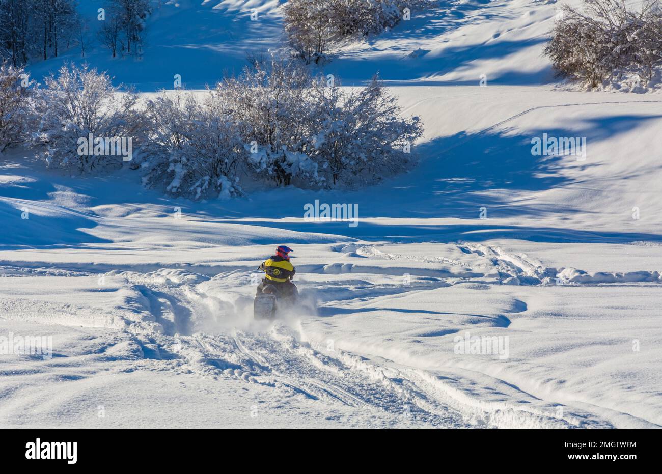 Man on snowmobile in snowy landscape -the Adamello Brenta Natural Park, Trentino Alto Adige, northern Italy, Europe Stock Photo