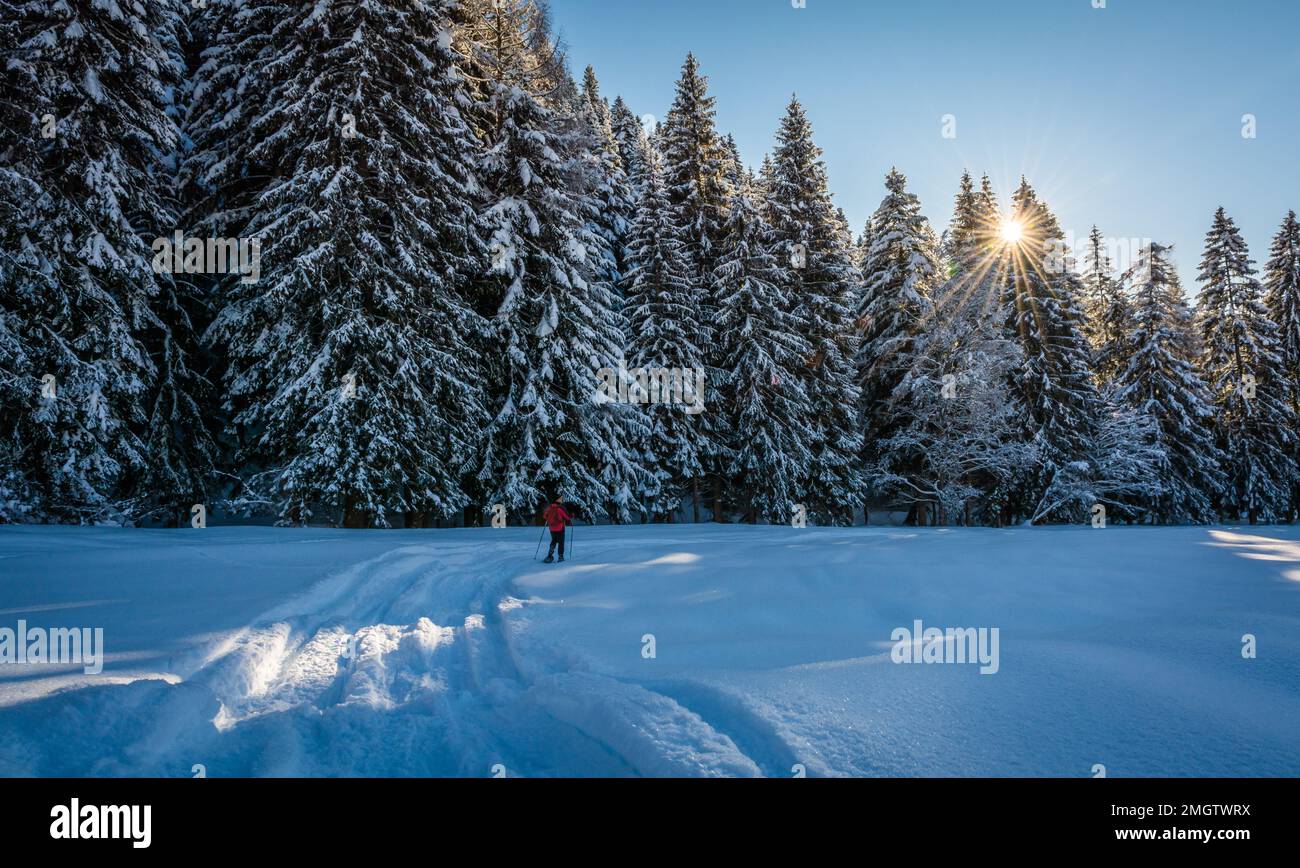 trekking with snowshoes in the Adamello Brenta Natural Park, Trentino Alto Adige, northern Italy, Europe Stock Photo