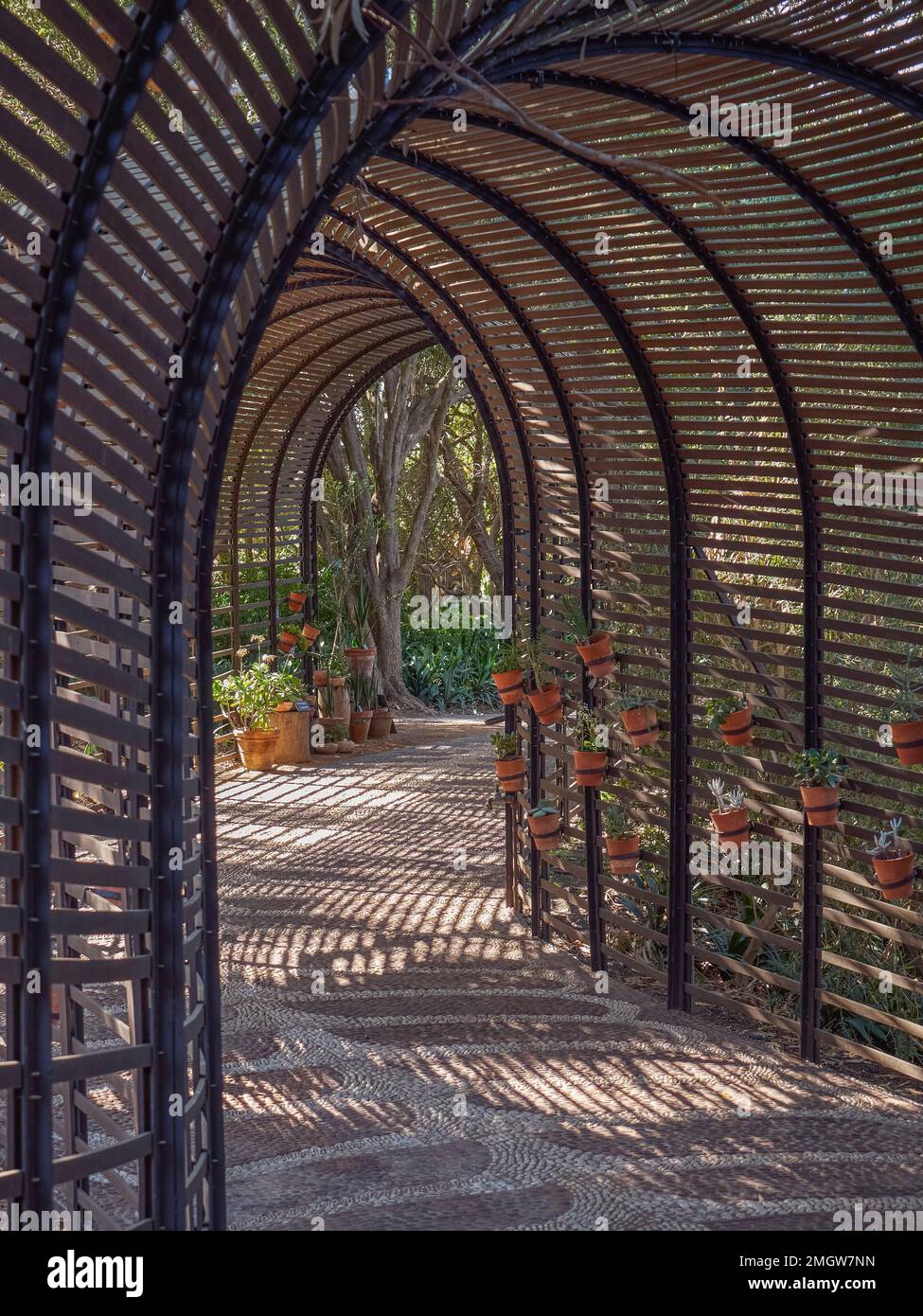 An Arched walk way made of metal and wood in a garden in Cape Town  South Africa Stock Photo