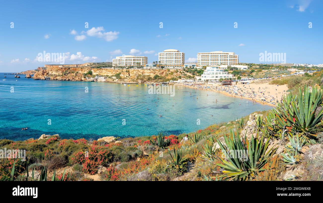 Landscape with Golden bay beach, Malta Stock Photo Alamy