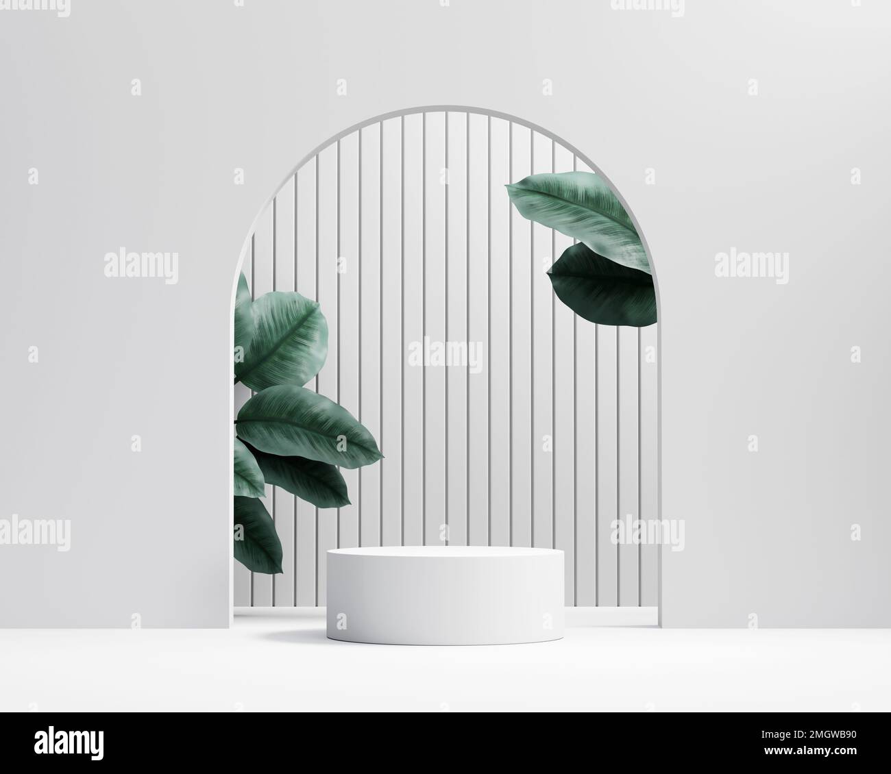 3D rendering platform podium with plant product presentation background ...