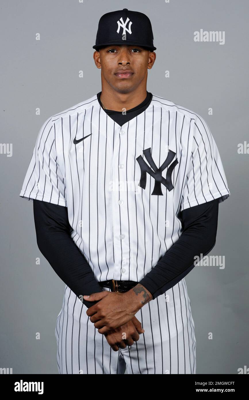 This is a 2020 photo of Luis Medina of the New York Yankees baseball team.  This image reflects the Yankees active roster as of Thursday, Feb. 20,  2020, when this image was, image size:866x1390