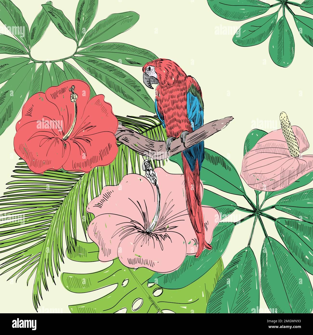 Tropical vector illustration Stock Vector Image & Art - Alamy