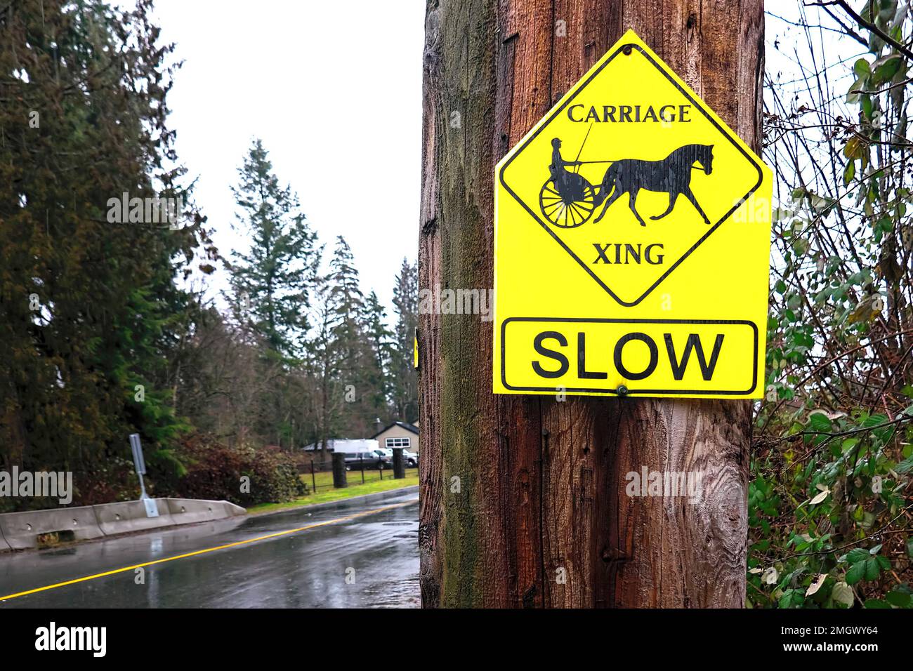 Yellow caution sign -Carriage Xing Slow sign on a utility pole along a rural road in Maple Ridge, B. C., Canada. Stock Photo