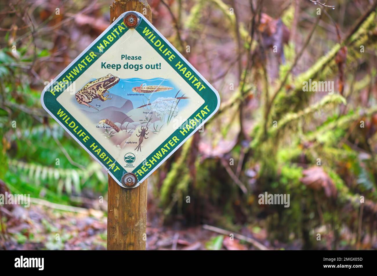 Wildlife Habitat - Freshwater Habitat sign posted in a local park to 'Please keep dogs out'. Metro Vancouver, B. C., Canada - horizontal - copy space. Stock Photo