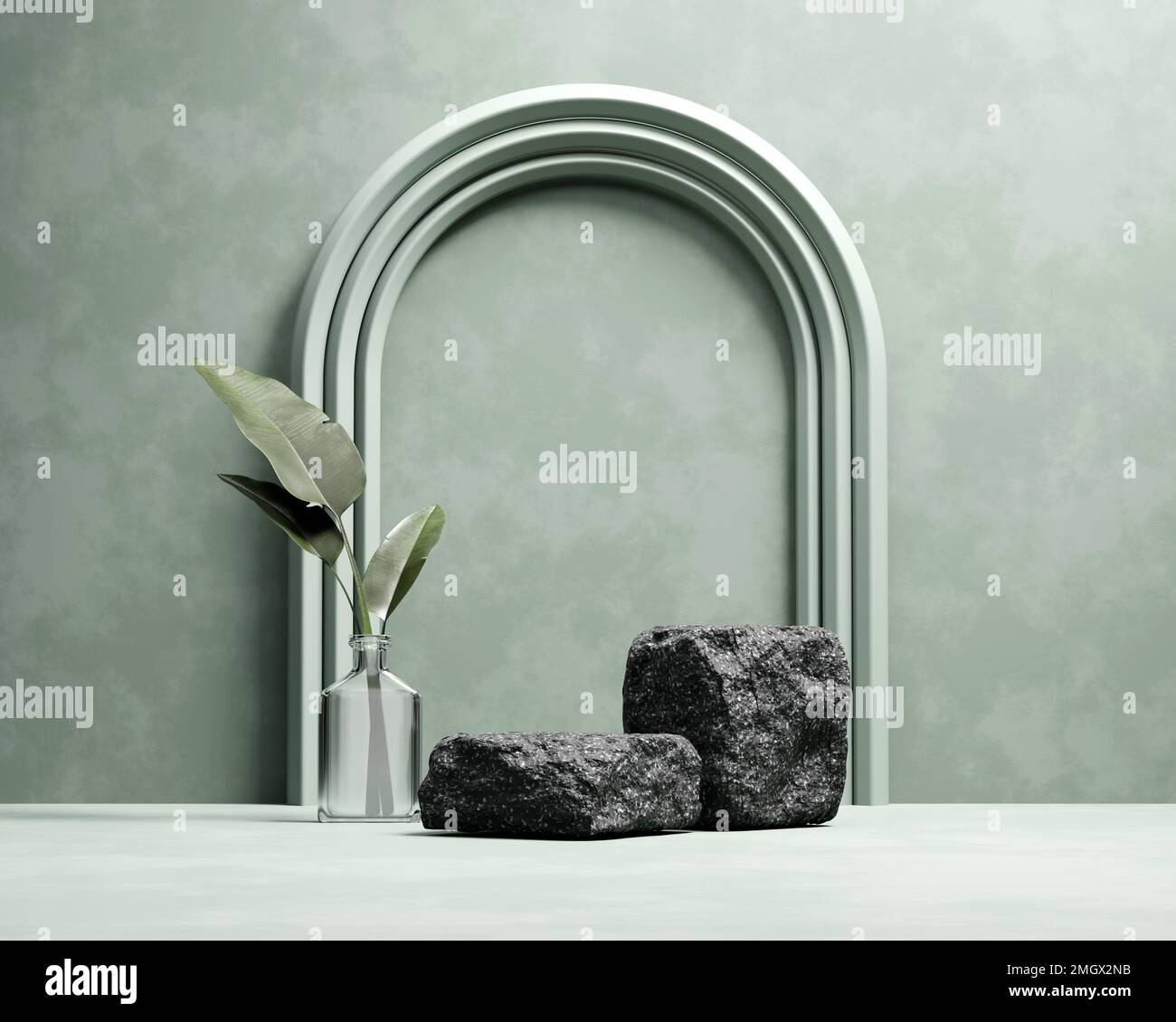 3D rendering platform podium with plant product presentation background ...