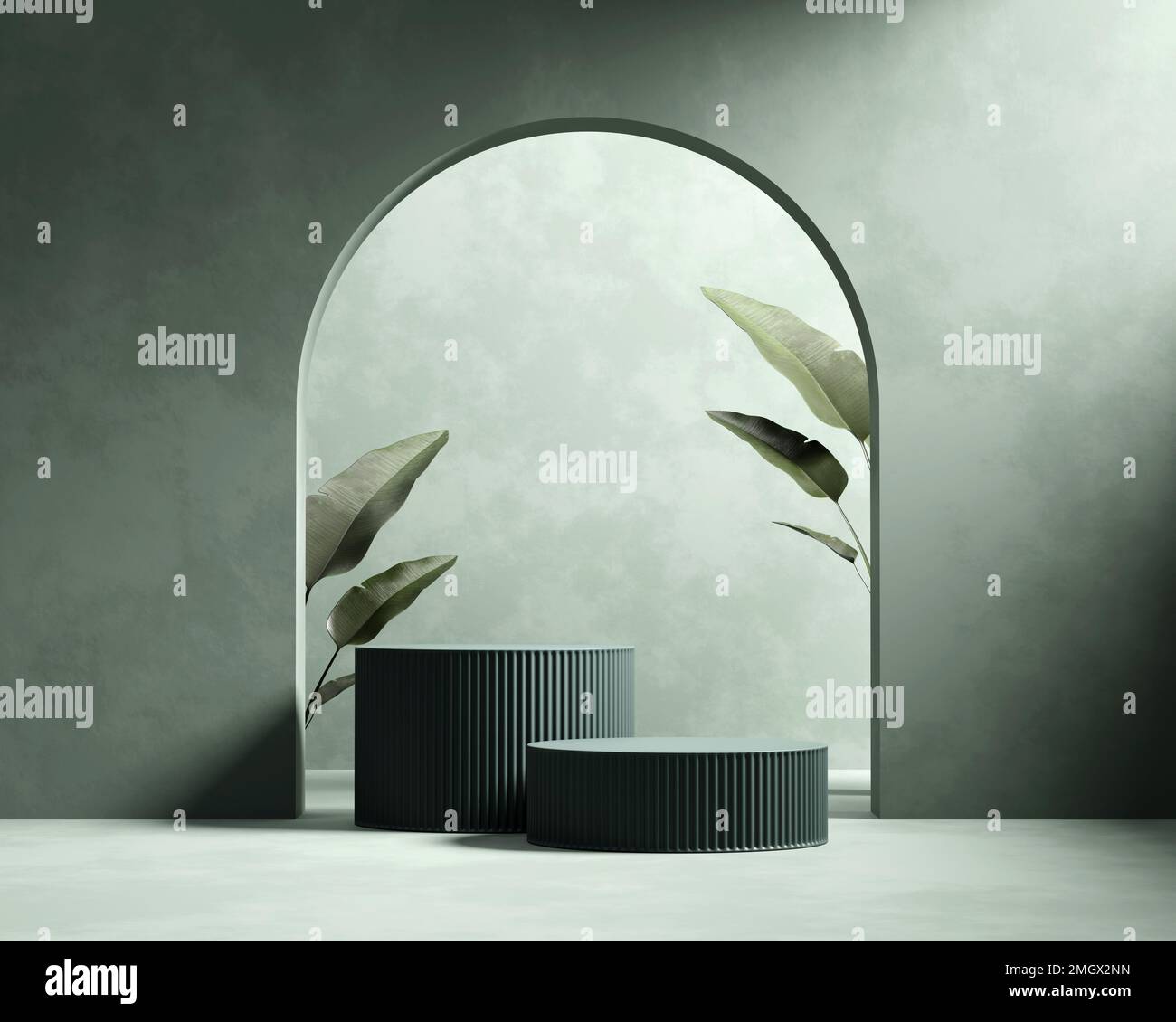 3D rendering platform podium with plant product presentation background ...