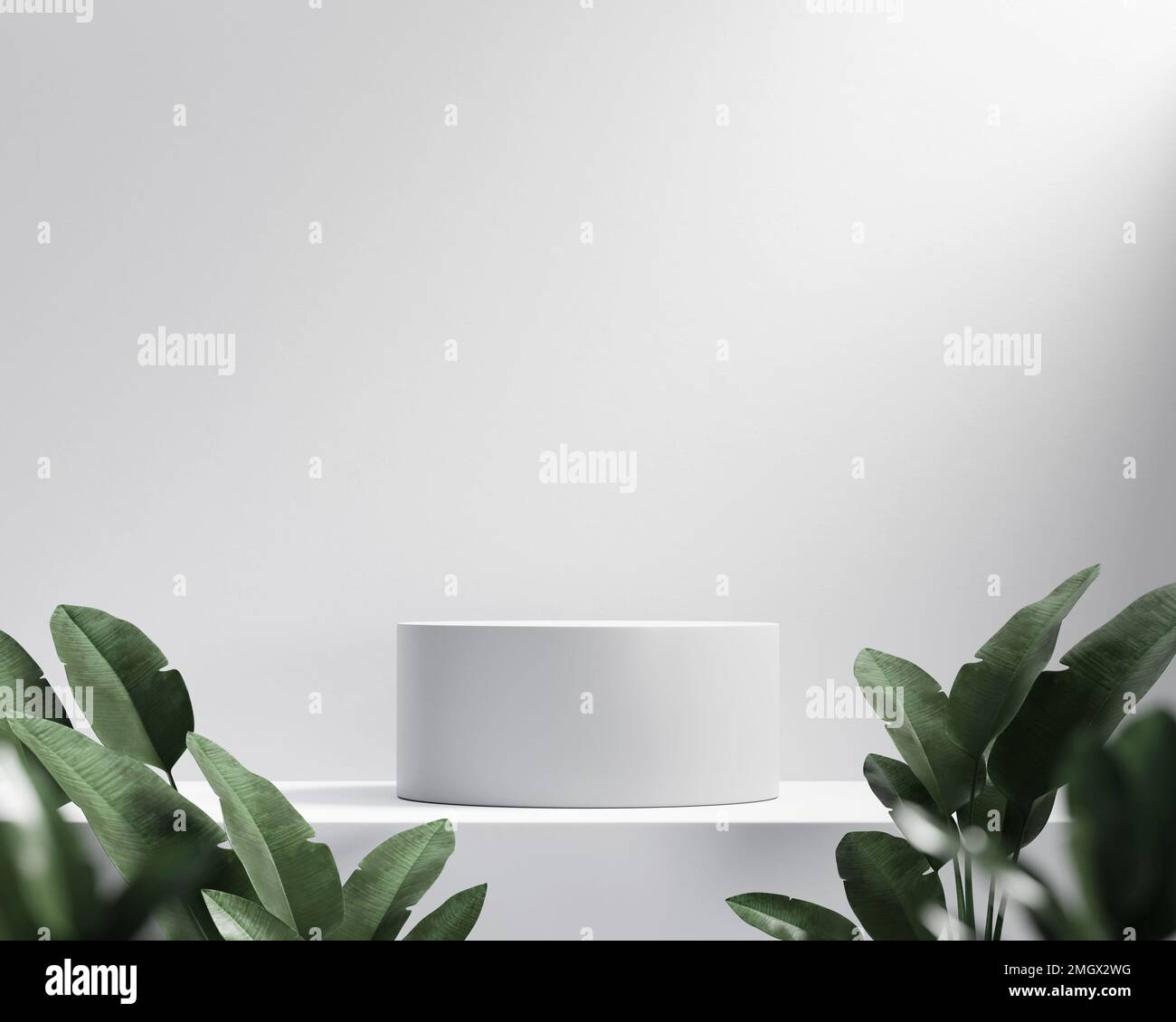 3D rendering platform podium with plant product presentation background ...