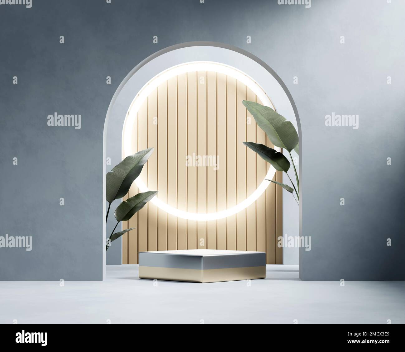 3D rendering platform podium with plant product presentation background ...