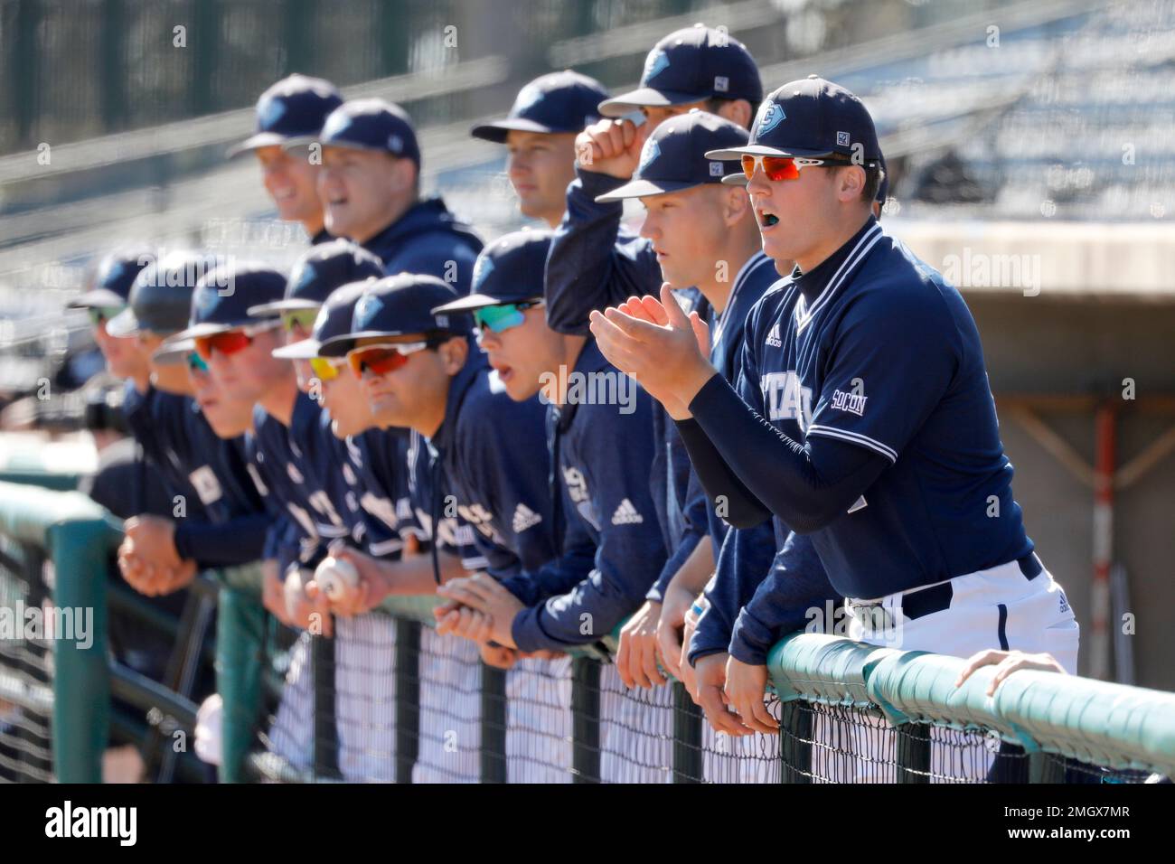 The Citadel bench claps for teammates against Yale in an NCAA college