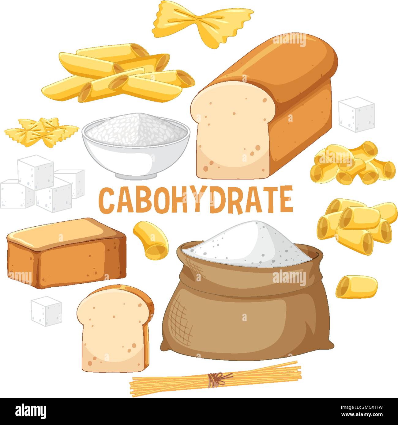 variety-of-carbohydrates-foods-illustration-stock-vector-image-art