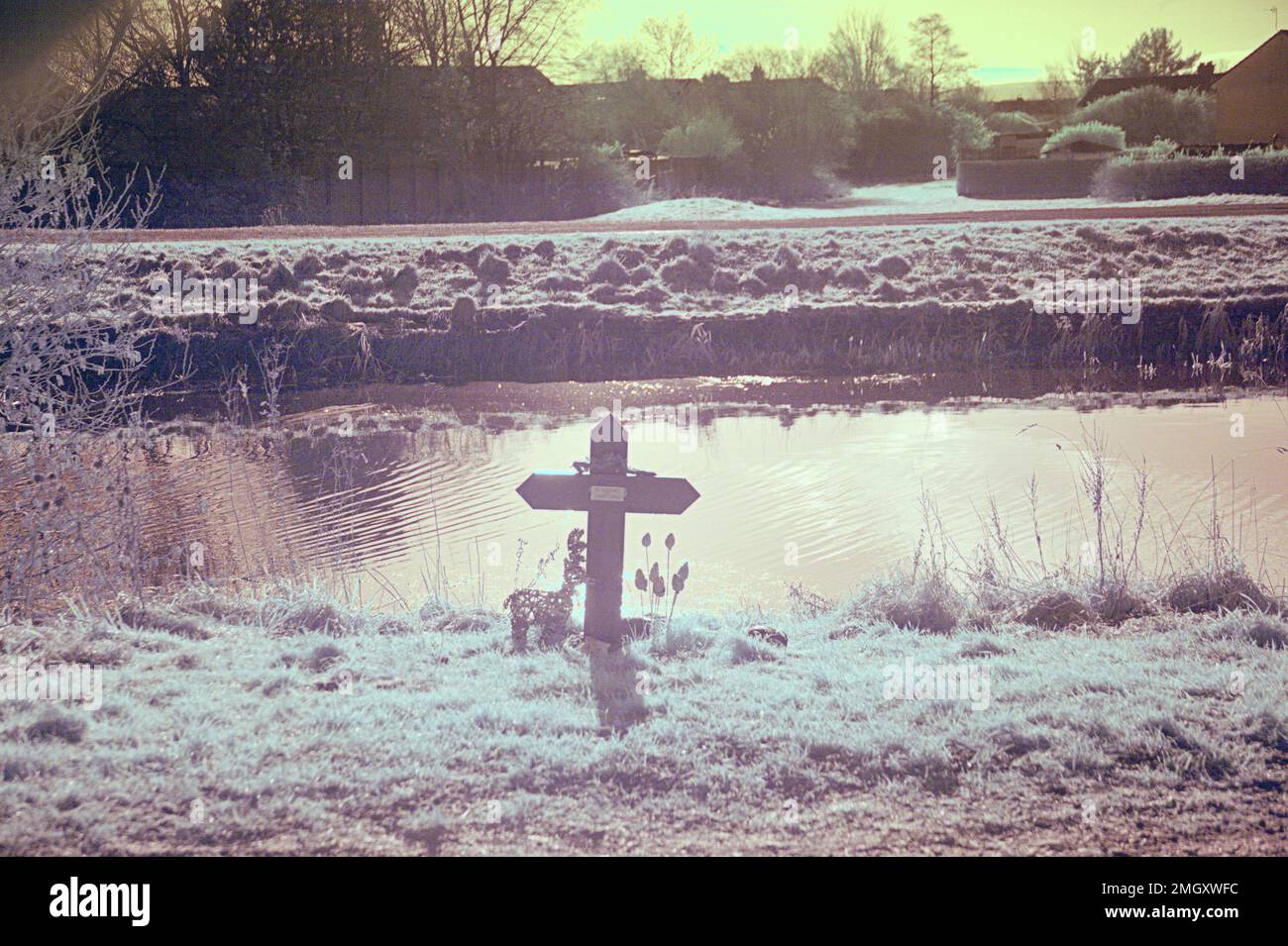 Infra red pictorial faux colour cross memorial of drowning victim shot of the forth and clyde canal tow path in Clydebank Stock Photo
