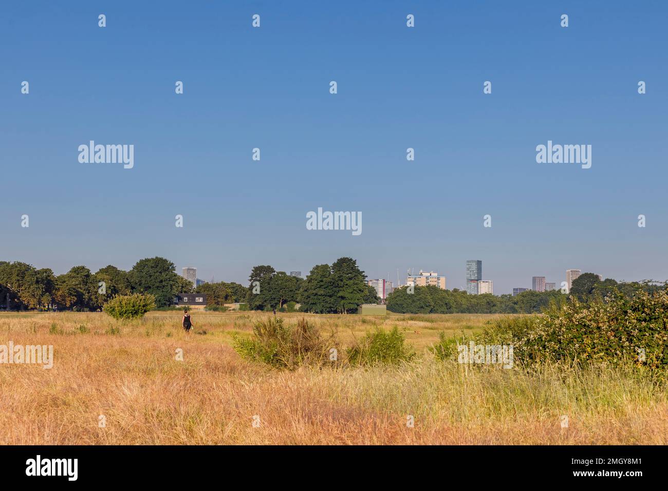 Forest Gate local area photography, London, UK, England Stock Photo Alamy