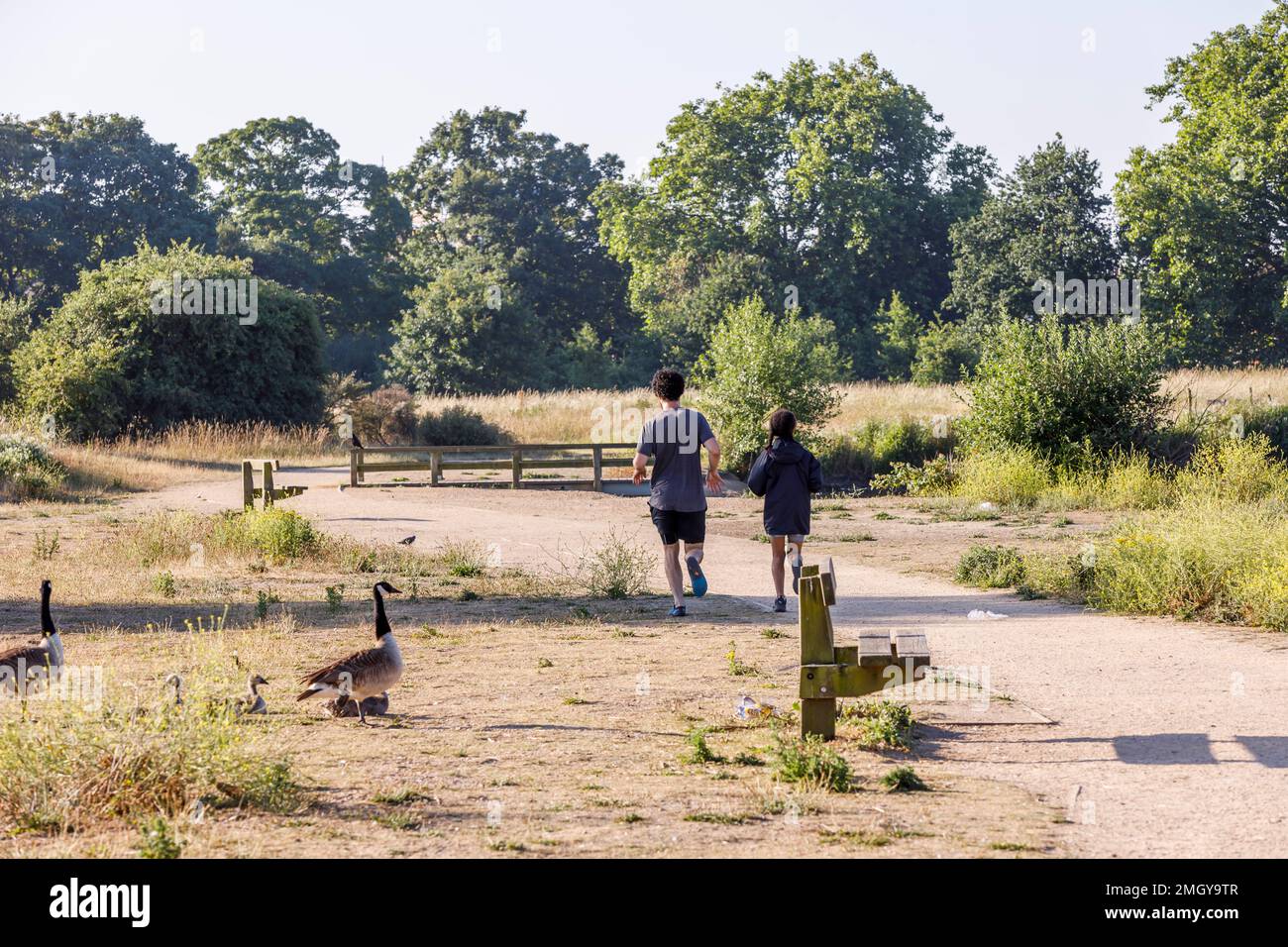 Forest Gate local area photography, London, UK, England Stock Photo Alamy