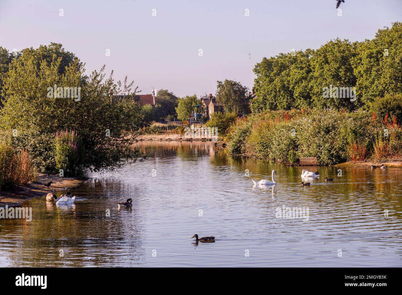 Forest Gate local area photography, London, UK, England Stock Photo Alamy