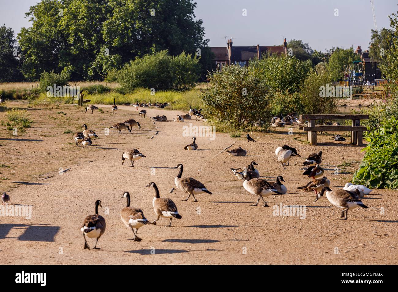 Forest Gate local area photography, London, UK, England Stock Photo Alamy