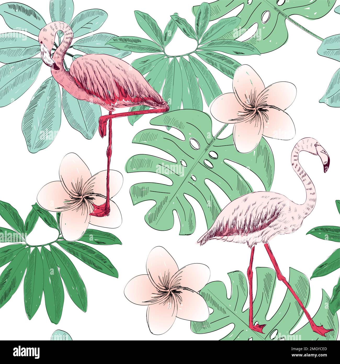 Tropical seamless pattern Stock Vector Image & Art - Alamy