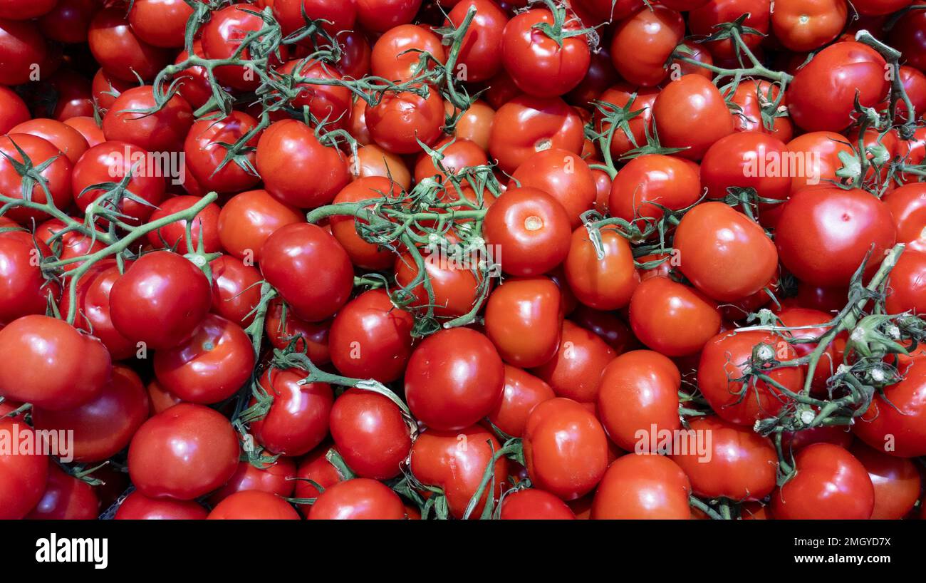 tomato and green Branch of red tomatoes organic food background Stock ...
