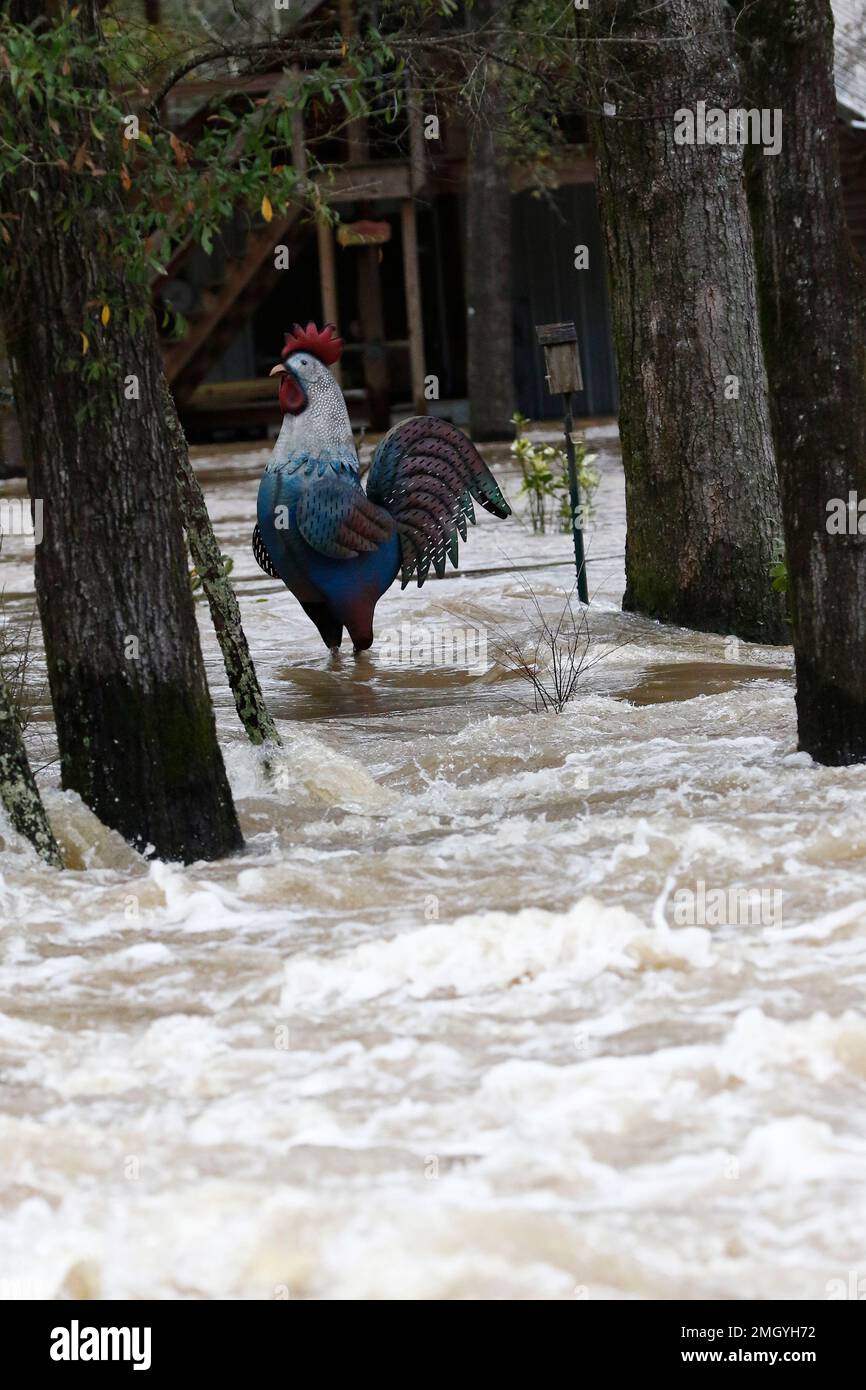 Water from the Pearl River floods a residence on FlorenceByram Road