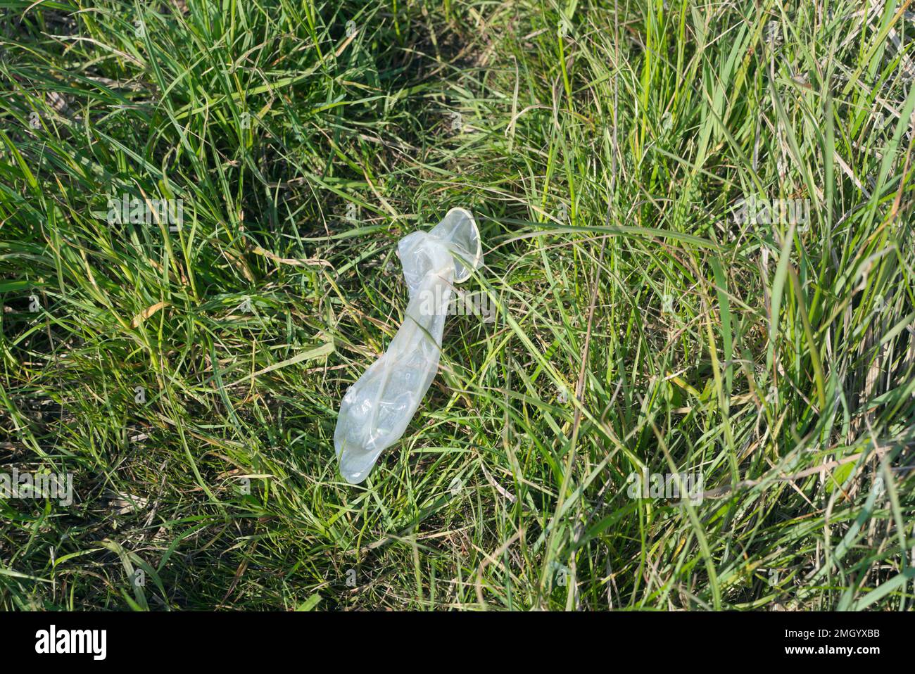 A discarded condom lays in the grass Stock Photo
