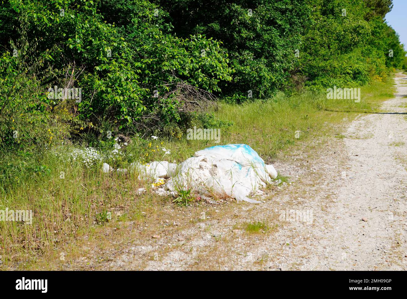 garbage dump aside pathway road in woods forest Stock Photo Alamy