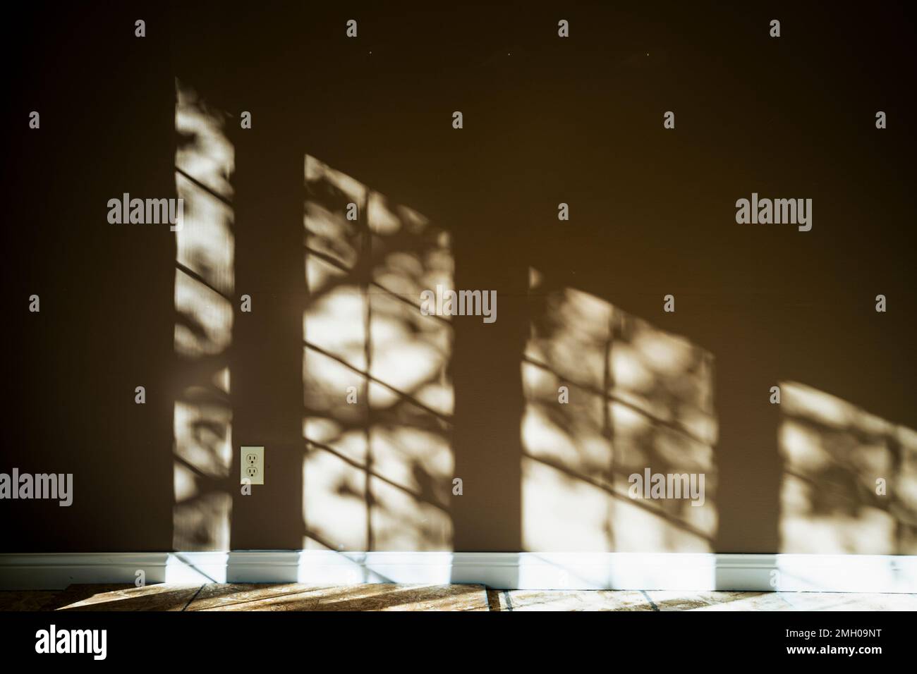 Windows Inner Shadow Shadows of Windows and Tree Branches on Empty Wall in Home Stock Photo ...
