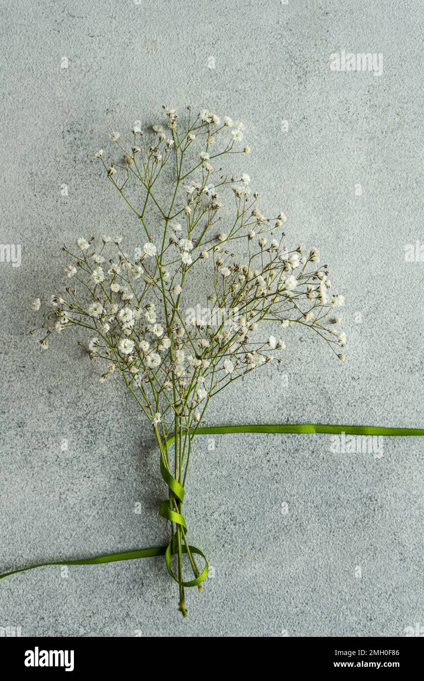 White Gypsophila flowers in bouquet Stock Photo
