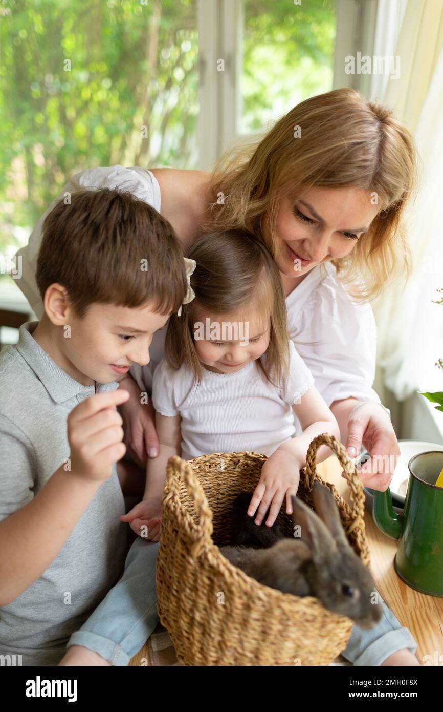 Laughing rabbits hi-res stock photography and images - Alamy