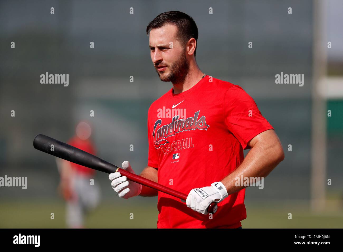 St. Louis Cardinals' Paul DeJong waits to take his turn in the batting