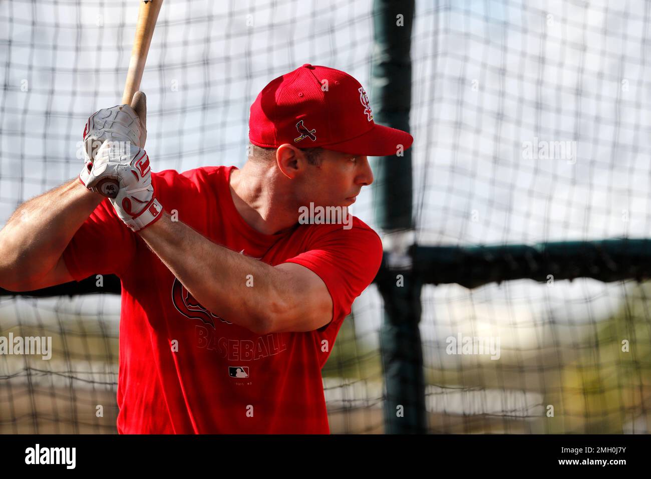St. Louis Cardinals' Paul Goldschmidt takes his turn in the batting