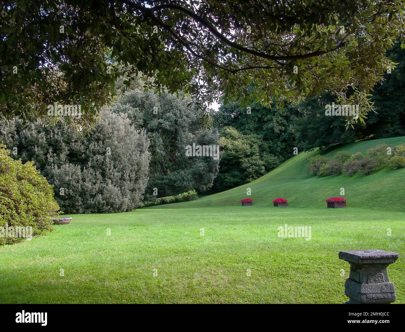 green lawn with trimmed grass in the park of villa Melzi, Bellagio, Italy Stock Photo