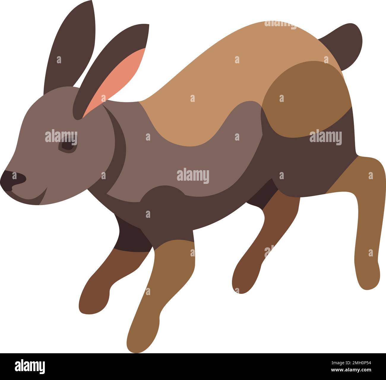 Cute rabbit icon isometric vector. Dutch pet. Breed bunny Stock Vector ...