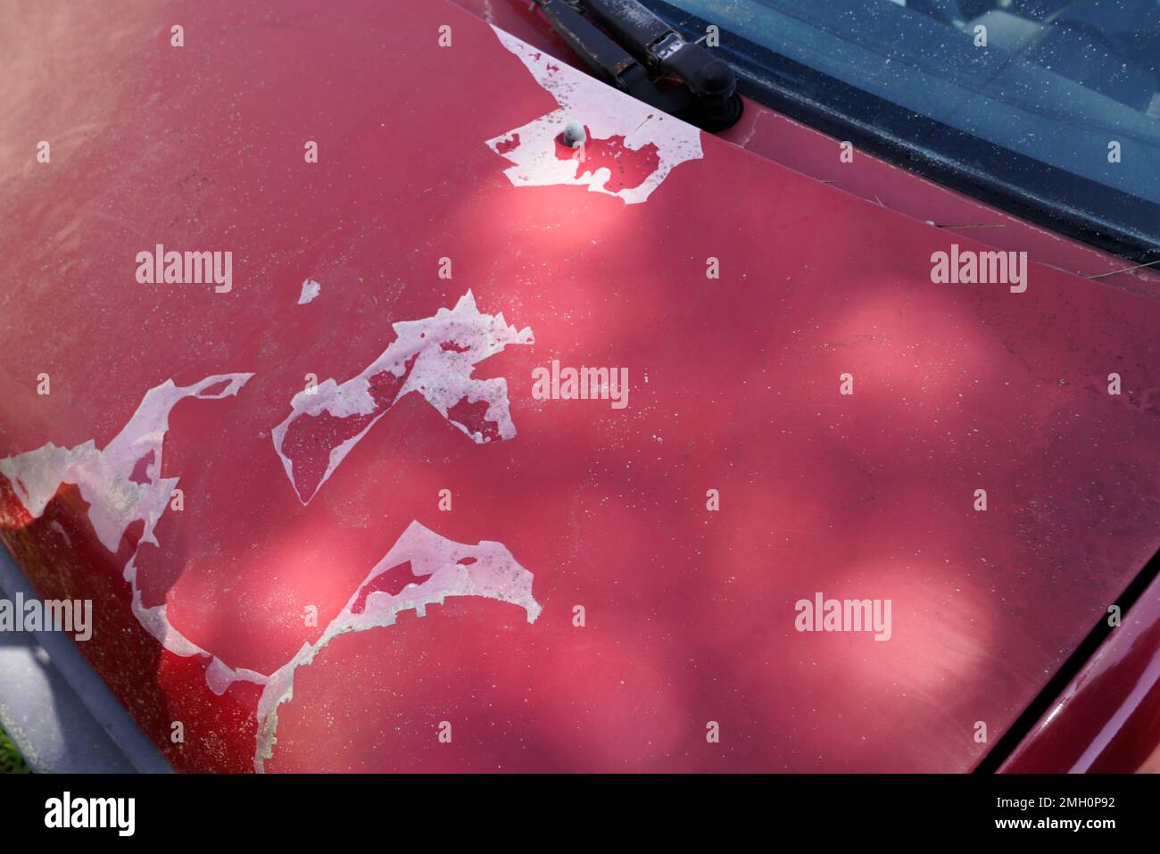 old car engine hood red used paint faded grunge on front Stock