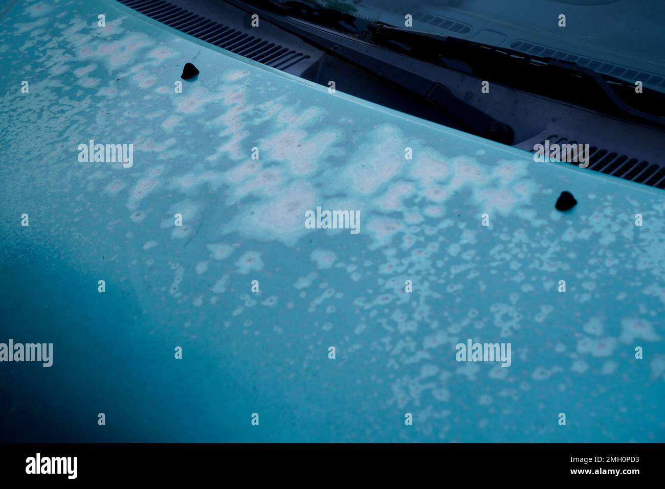 old car engine hood blue green used paint faded grunge on front