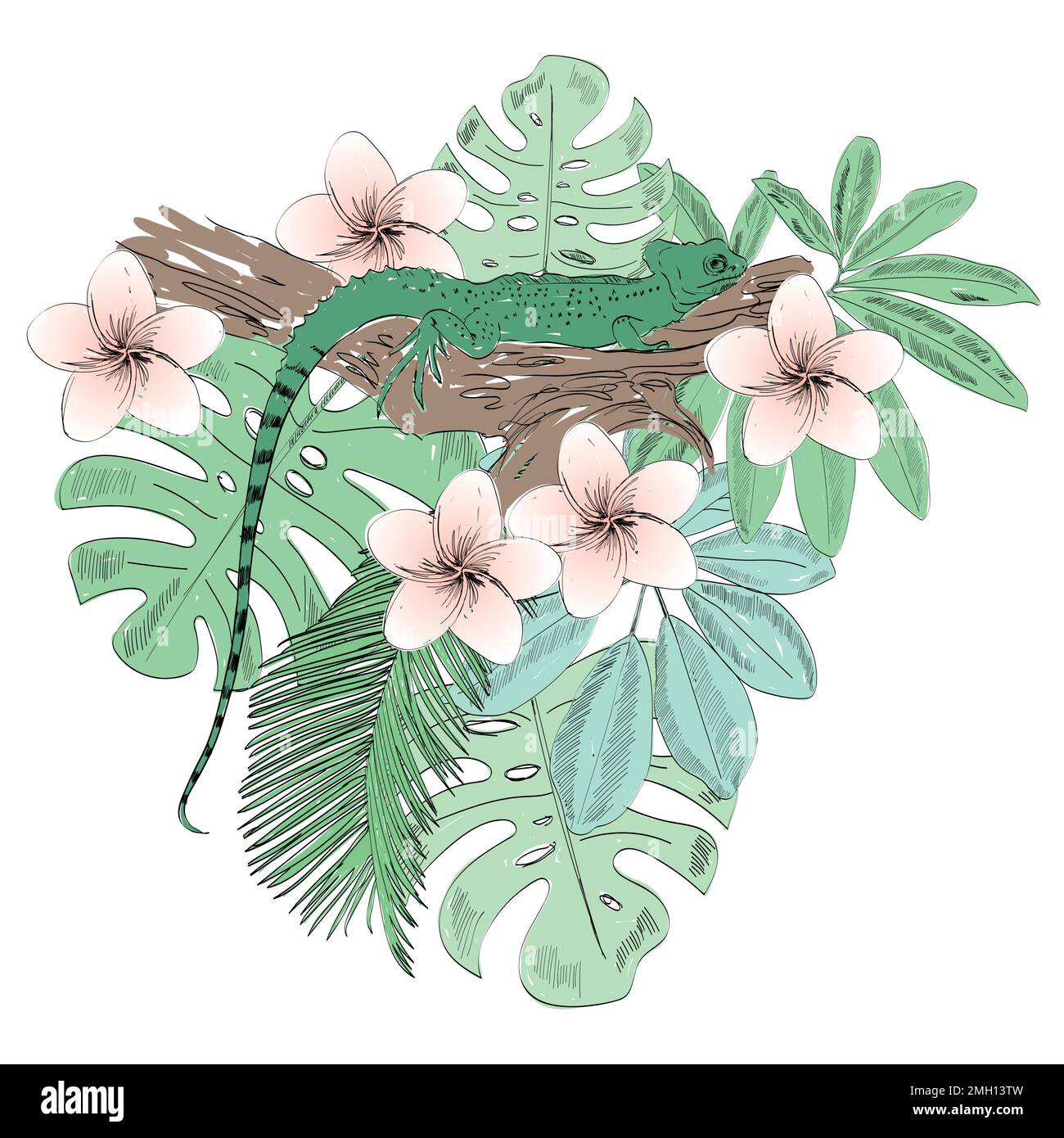 Tropical vector illustration Stock Vector Image & Art - Alamy