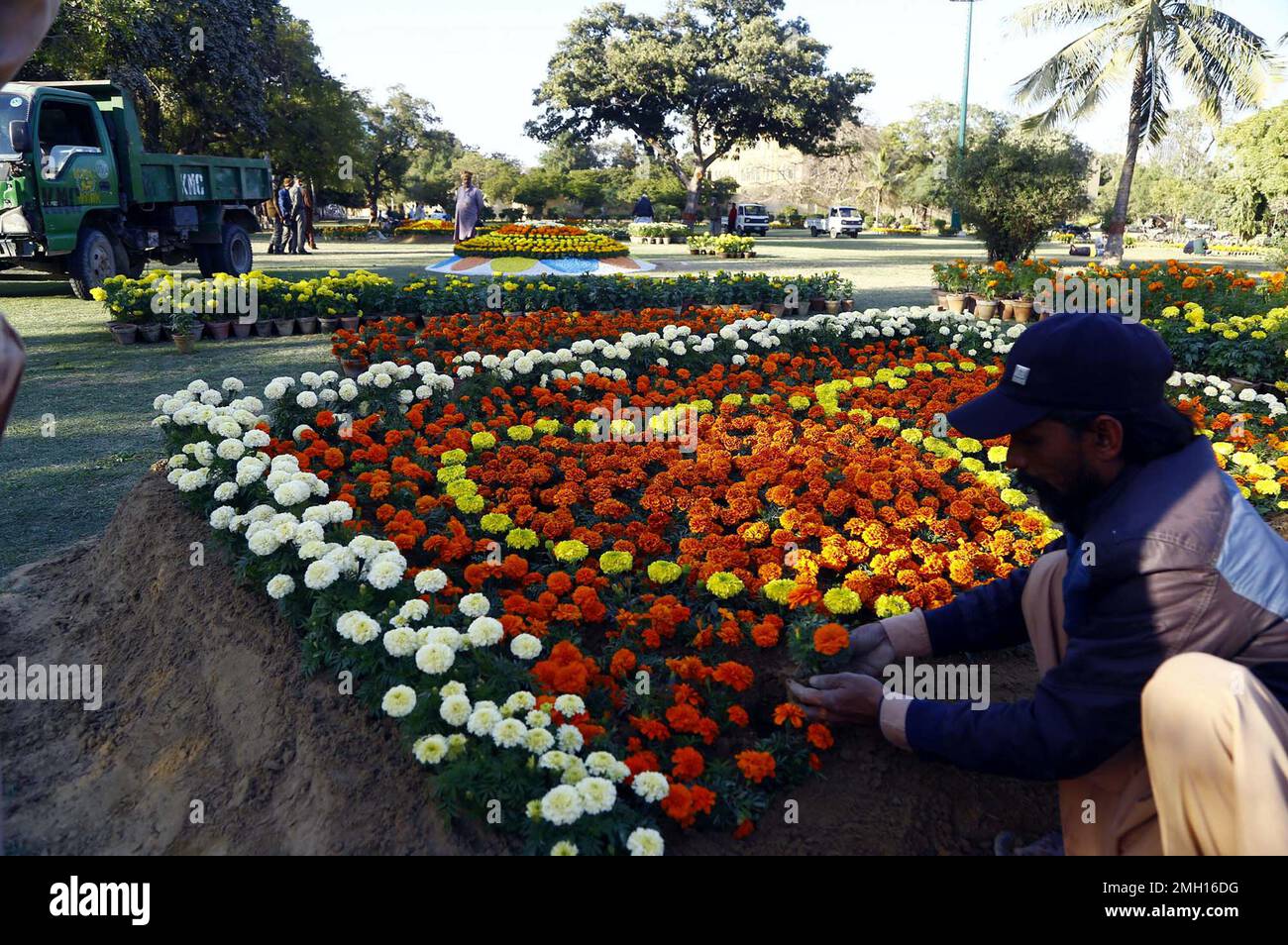 gardener-takes-care-and-arranging-seasonal-flowers-gul-e-dawoodi-and