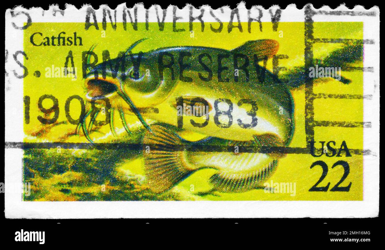 USA - CIRCA 1986: A Stamp printed in USA shows the Catfish, Fish series, circa 1986 Stock Photo
