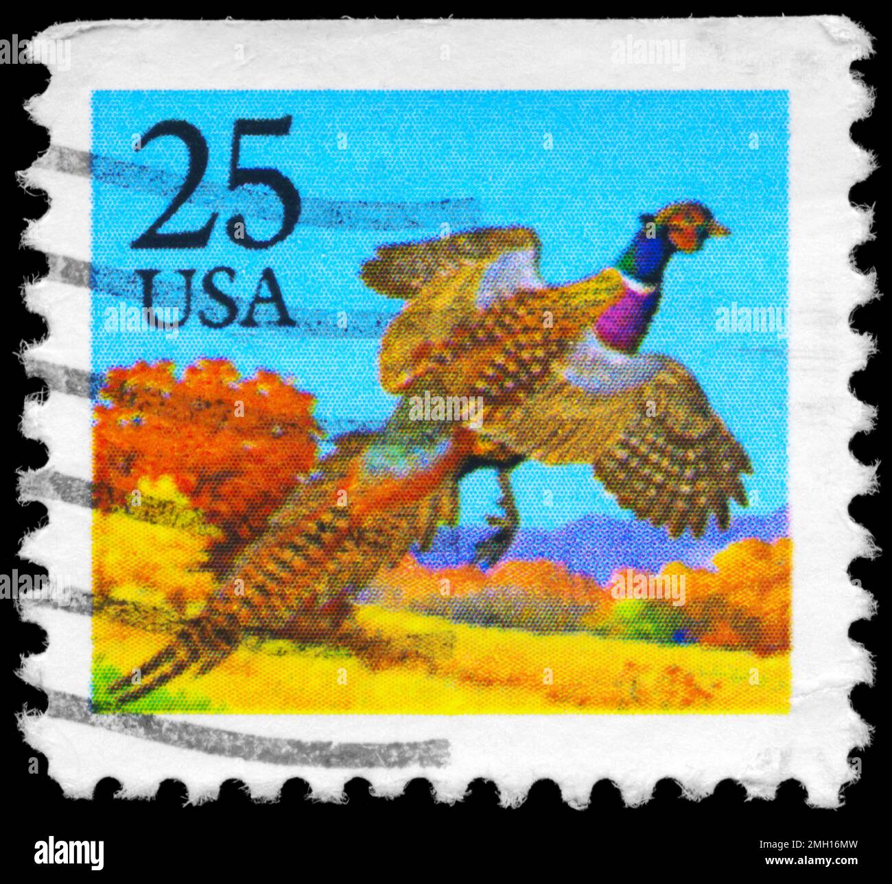 USA CIRCA 1988 A Stamp printed in USA shows the Pheasant, Booklet