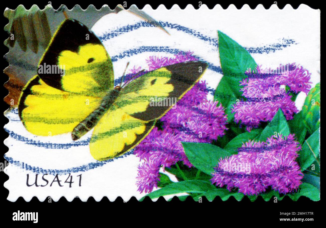 USA CIRCA 2007 A Stamp printed in USA shows the Prairie Ironweed and