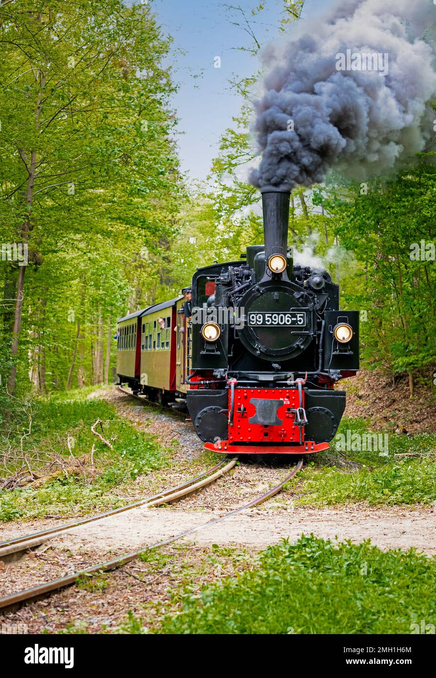 Selketalbahn bei Harzgerode im Harz, Stock Photo