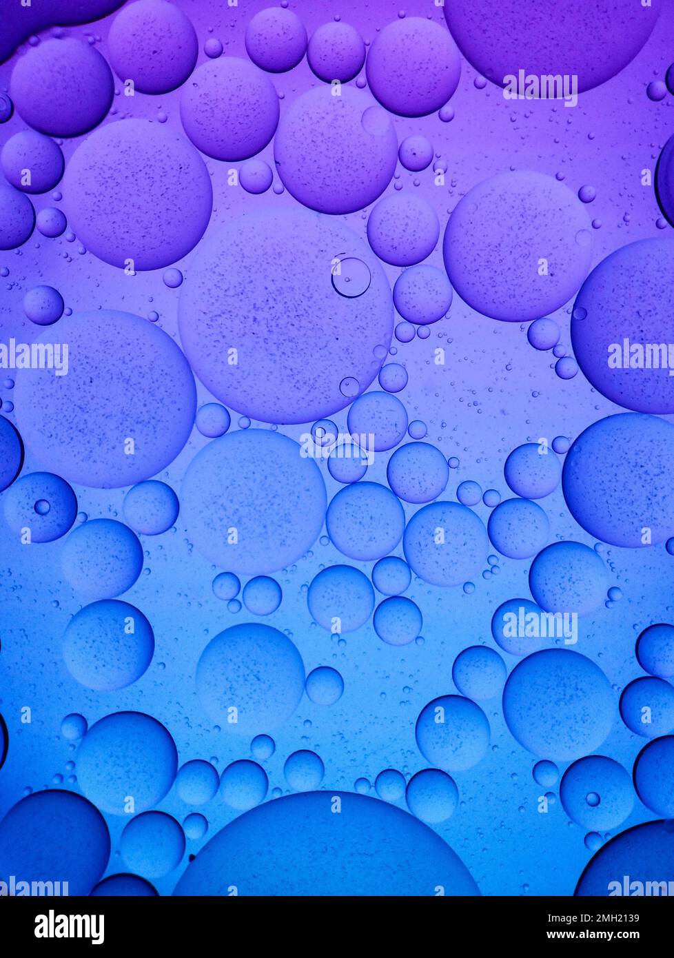 Purple and Blue Colorful artistic of oil on the water. Abstract