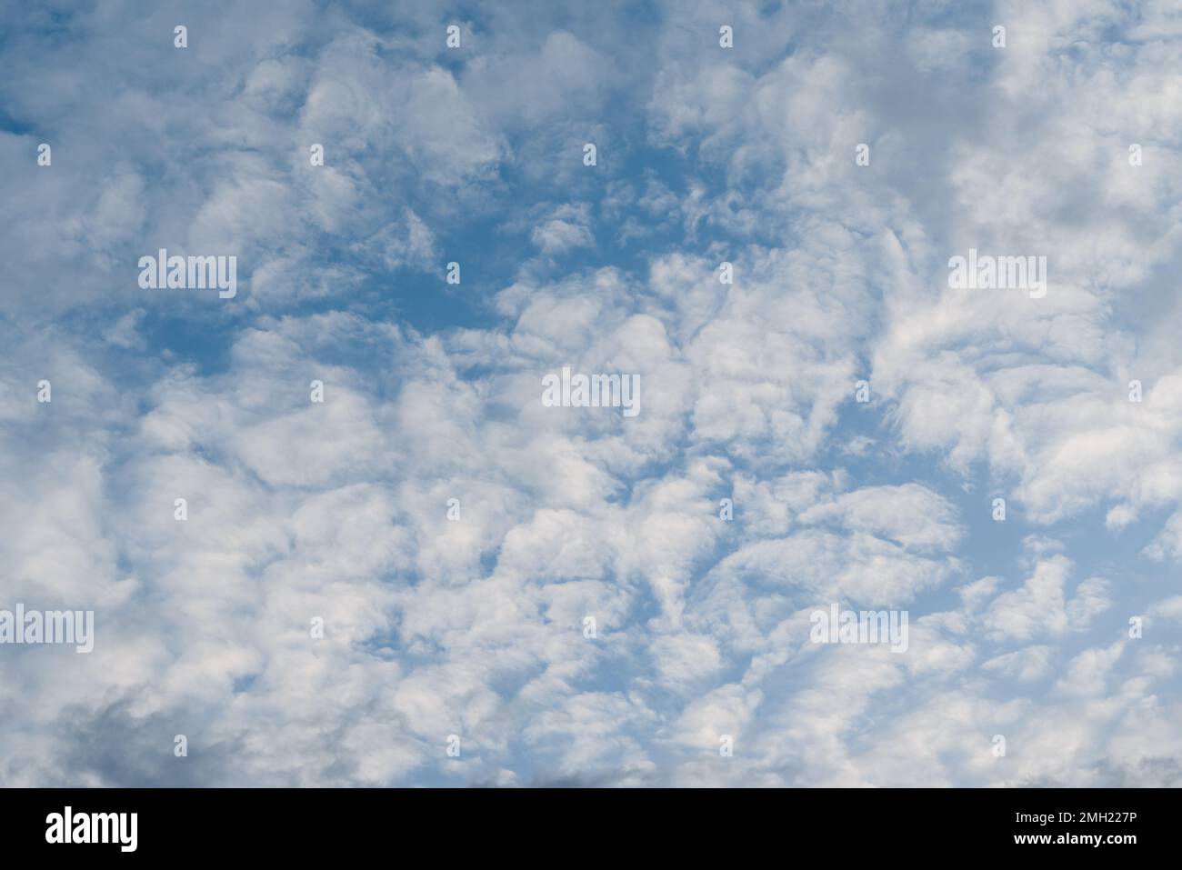 Blue sky with white fluffy cloud using as nature wallpaper or background. Stock Photo