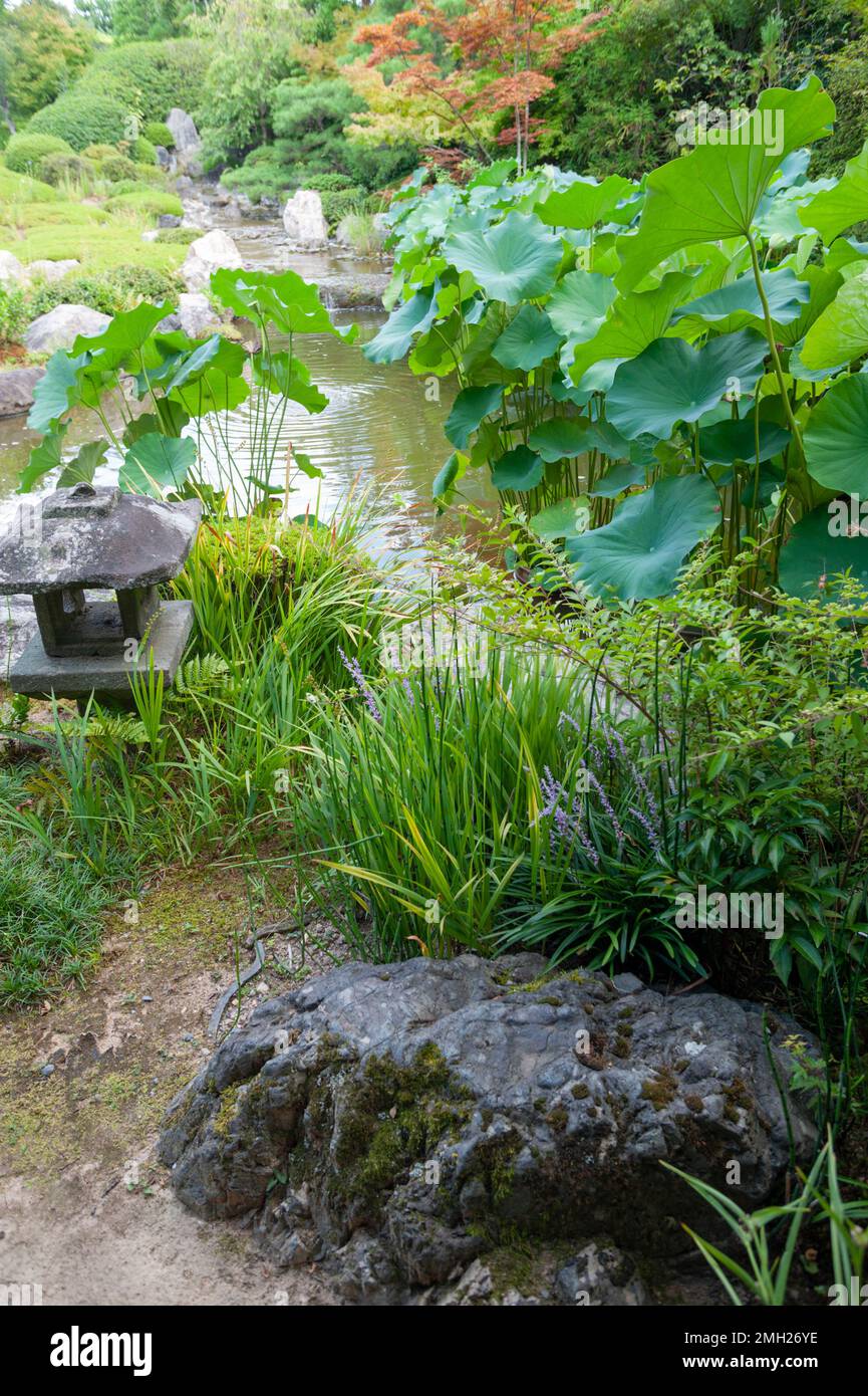 The Yoko-en pond garden at Taizo-in Temple, Myoshin-ji, Kyoto, Japan. Stock Photo