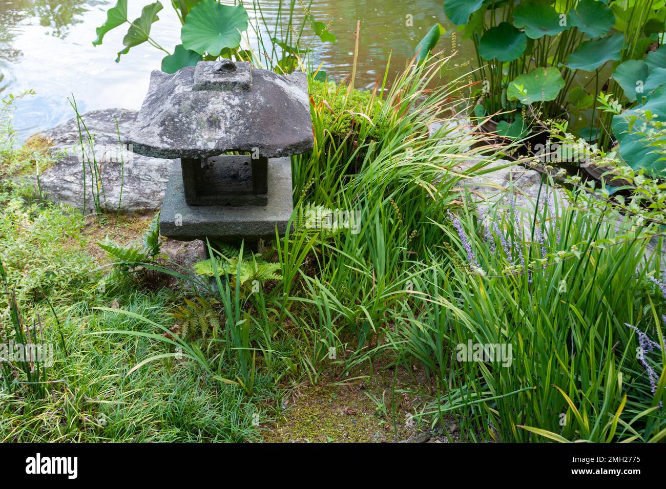 The Yoko-en pond garden at Taizo-in Temple, Myoshin-ji, Kyoto, Japan. Stock Photo