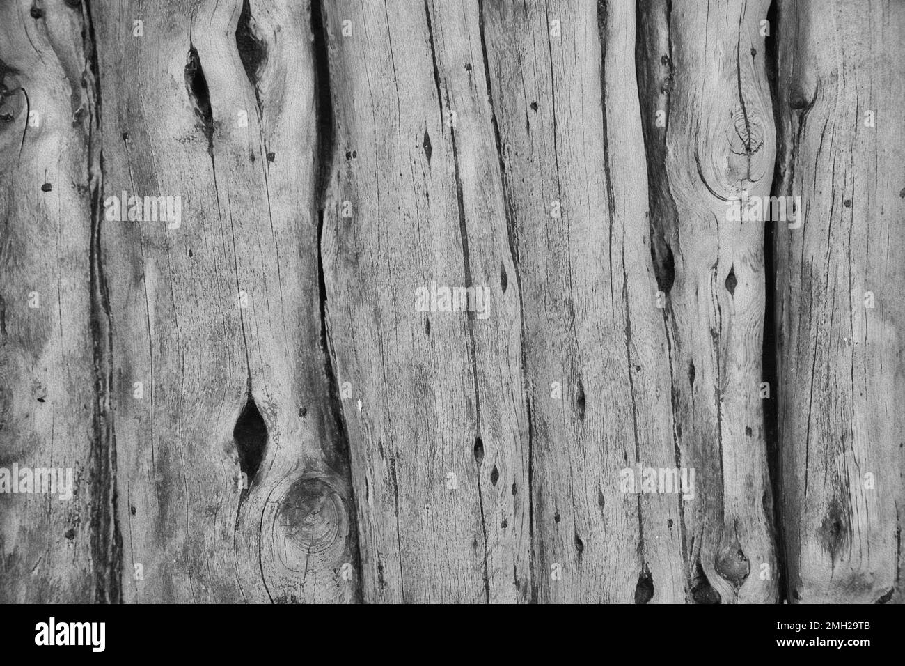 Close up up vertical rough textured logs in black in white Stock Photo