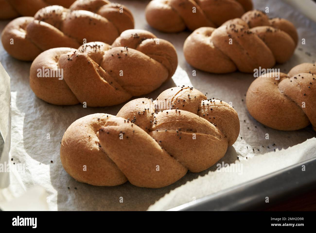 Plaited bread rolls or buns made from whole grain spelt flour, baked at