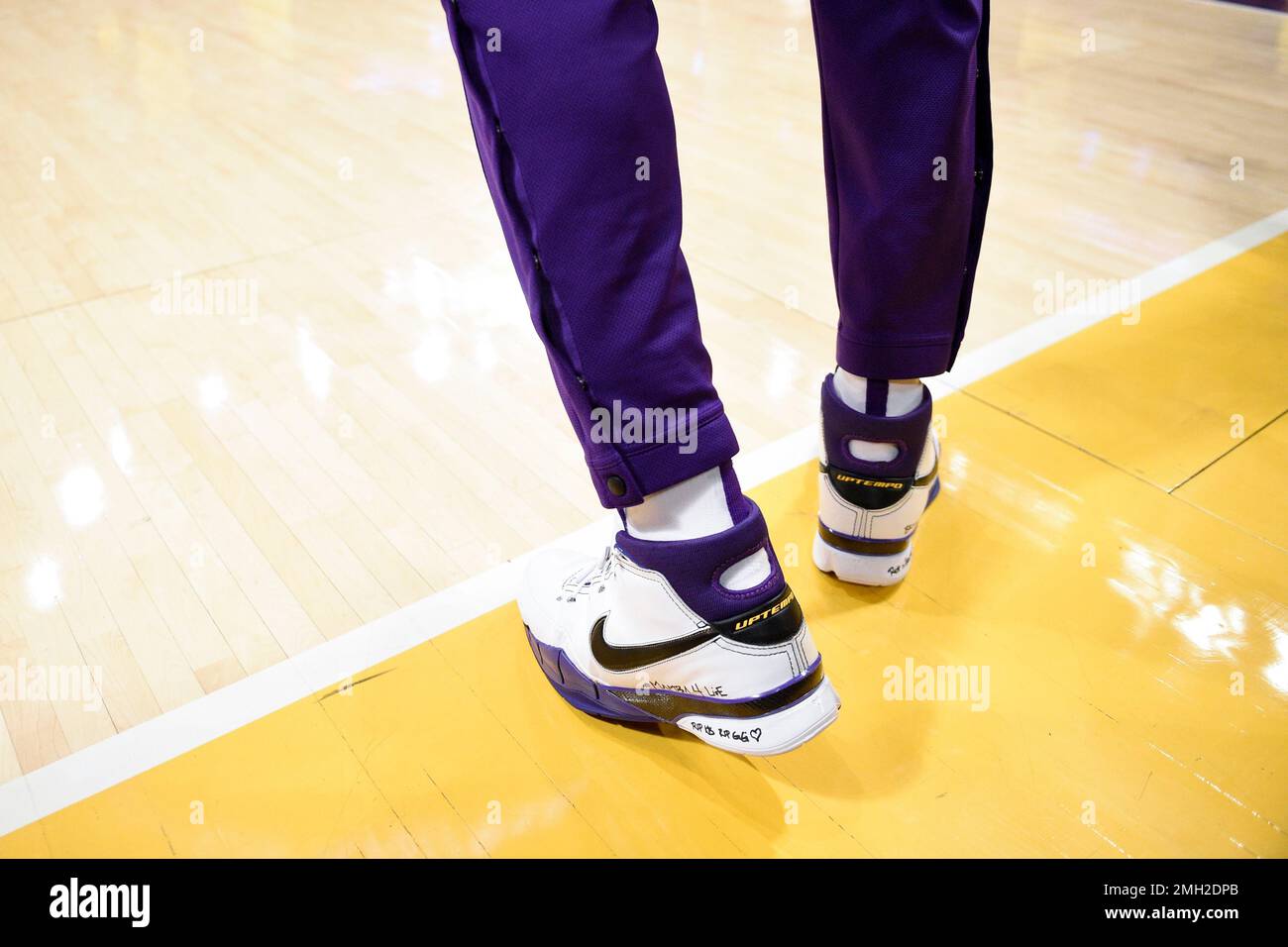 kobe lebron shoes